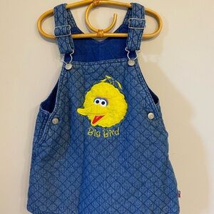 4T Big Bird Dress